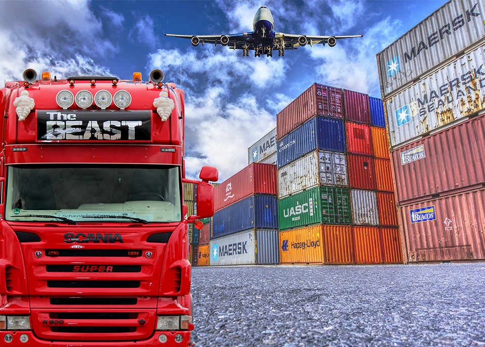 供应链防霉管控