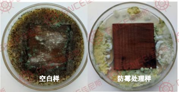 1668758269543.png image.png