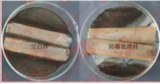 1668759283934.png image.png