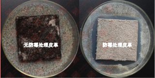 1668763925279.png image.png