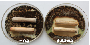 1668816816999.png image.png