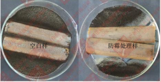 1668817686717.png image.png