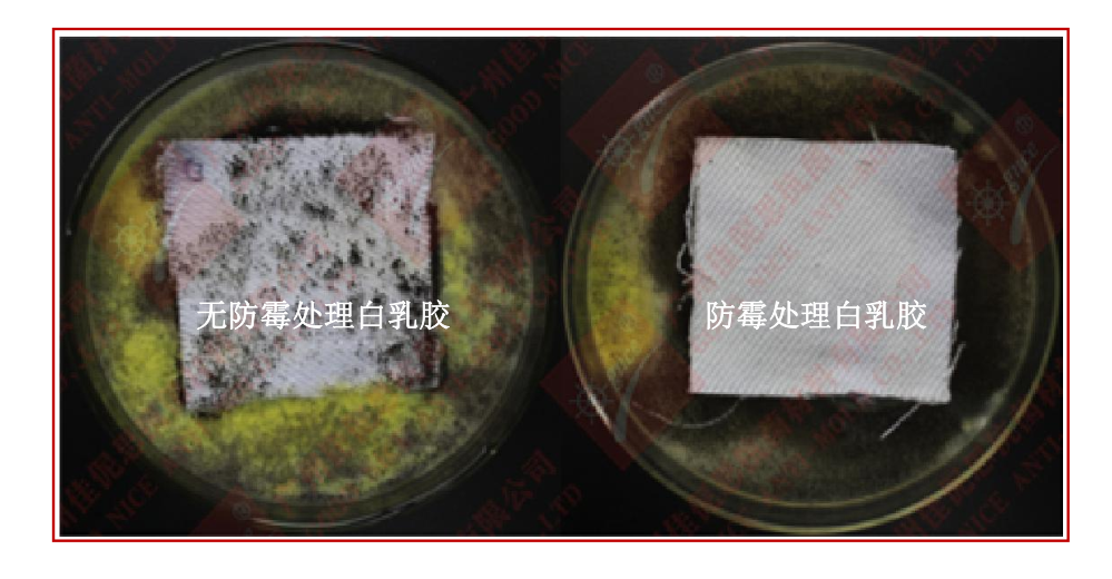 1676875815546.png image.png