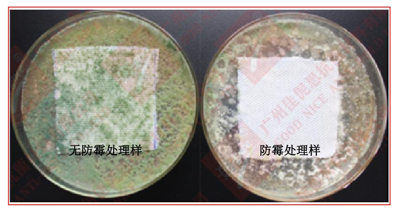 1676877770614.png image.png