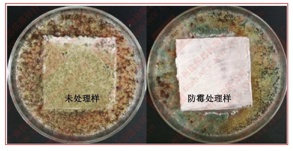 1676879550512.png image.png