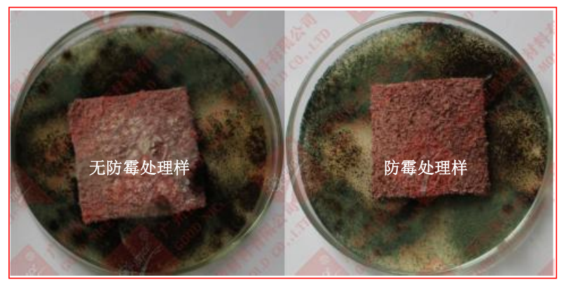 1677028636361.png image.png