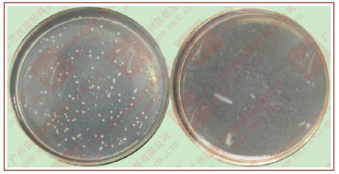 1677037348803.png image.png