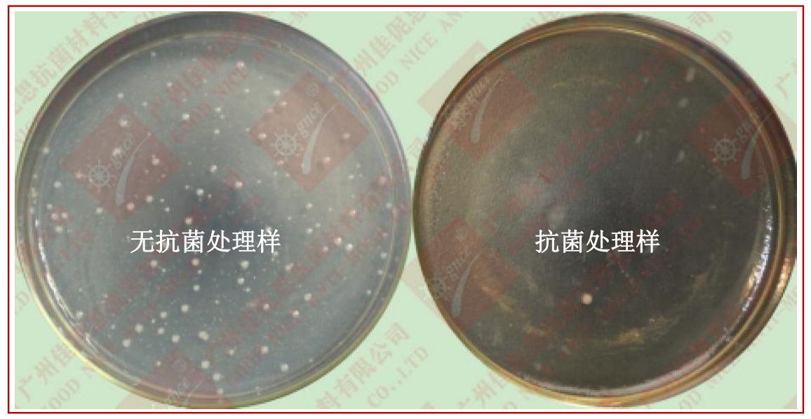 1677037798535.png image.png