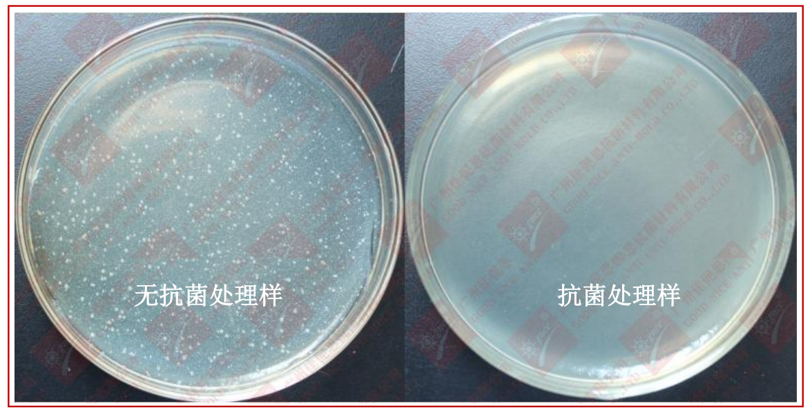 1677049006056.png image.png