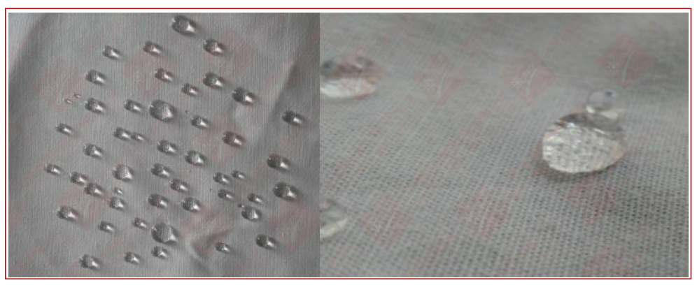 1677230002753.png image.png